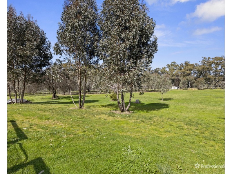 445 Dunolly- Moliagul Road, Dunolly VIC 3472