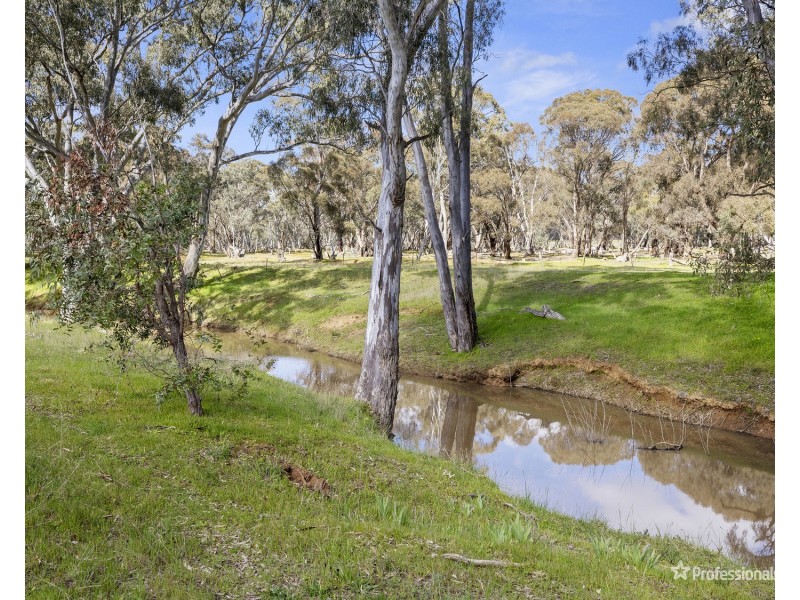 445 Dunolly- Moliagul Road, Dunolly VIC 3472