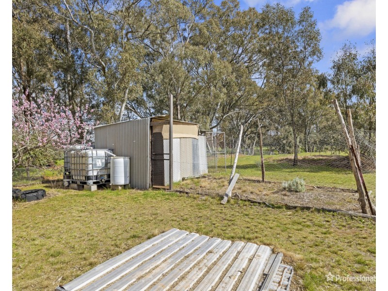 445 Dunolly- Moliagul Road, Dunolly VIC 3472