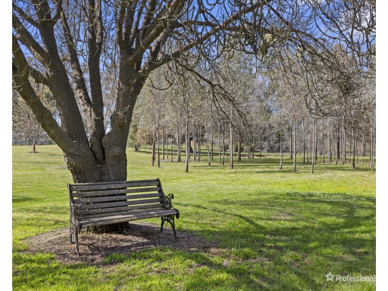 445 Dunolly- Moliagul Road, Dunolly VIC 3472