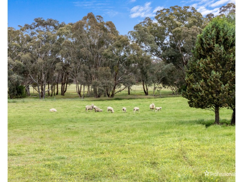 22 George Cook Drive, Daisy Hill VIC 3465