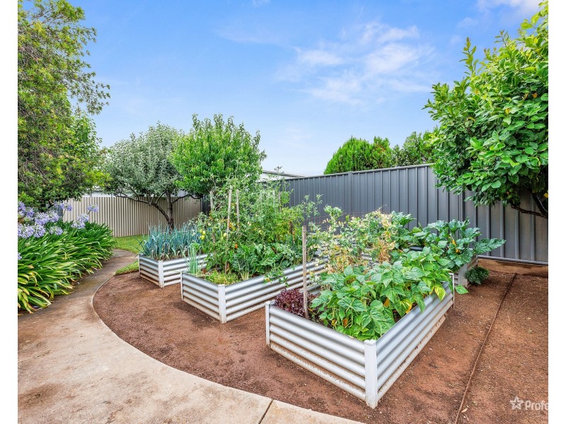 67 Holyrood Street, Maryborough VIC 3465