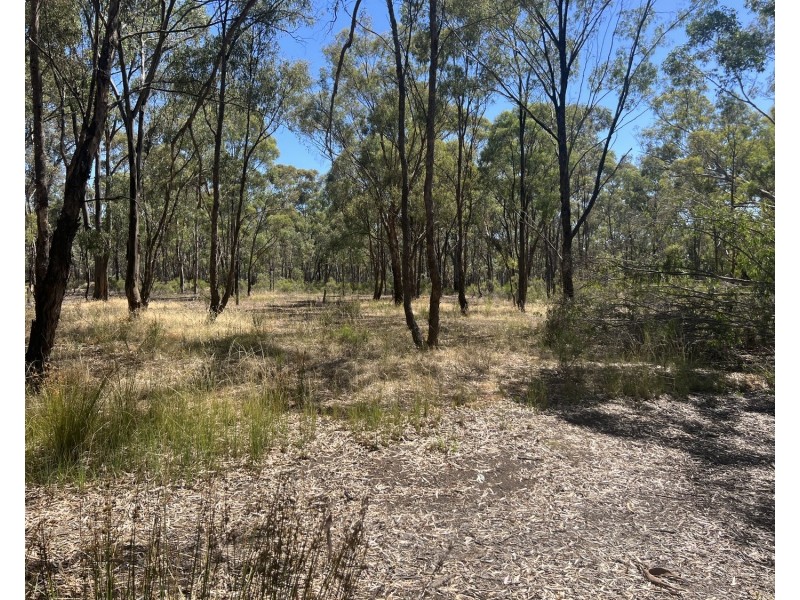 Lots 1,2,3 Bridgewater-Dunolly Road, Waanyarra VIC 3551