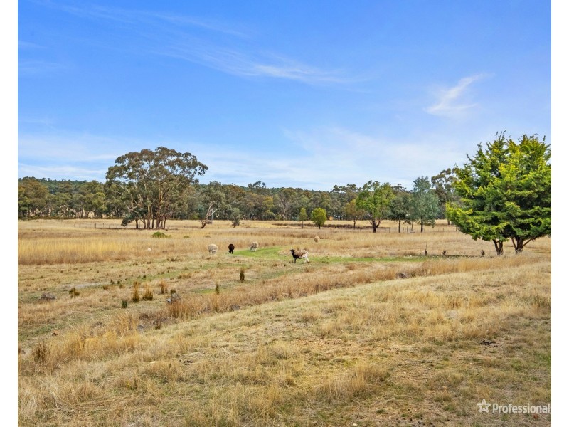 276 Lillicur Road, Amherst VIC 3371