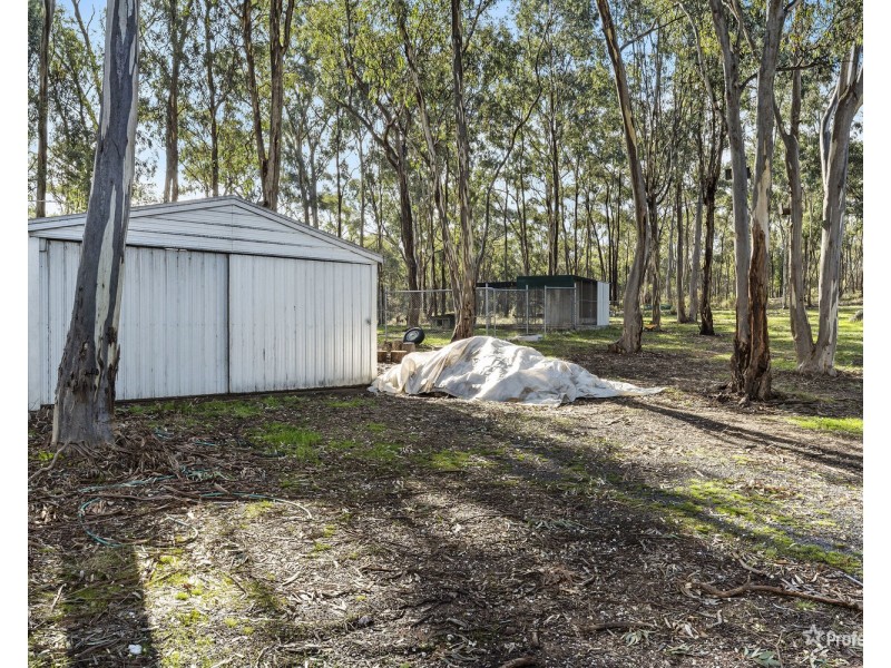 41 Menzies Drive, Daisy Hill VIC 3465