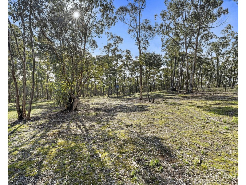 41 Menzies Drive, Daisy Hill VIC 3465