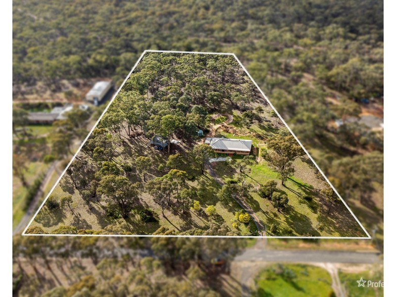 41 Menzies Drive, Daisy Hill VIC 3465