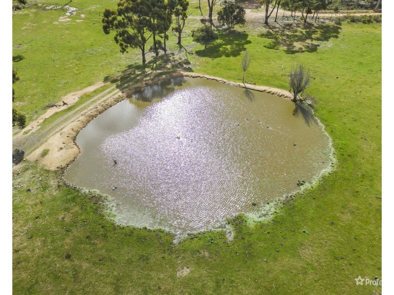 48 Tullaroop Track, Maryborough VIC 3465