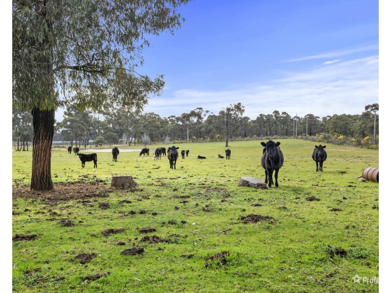 48 Tullaroop Track, Maryborough VIC 3465