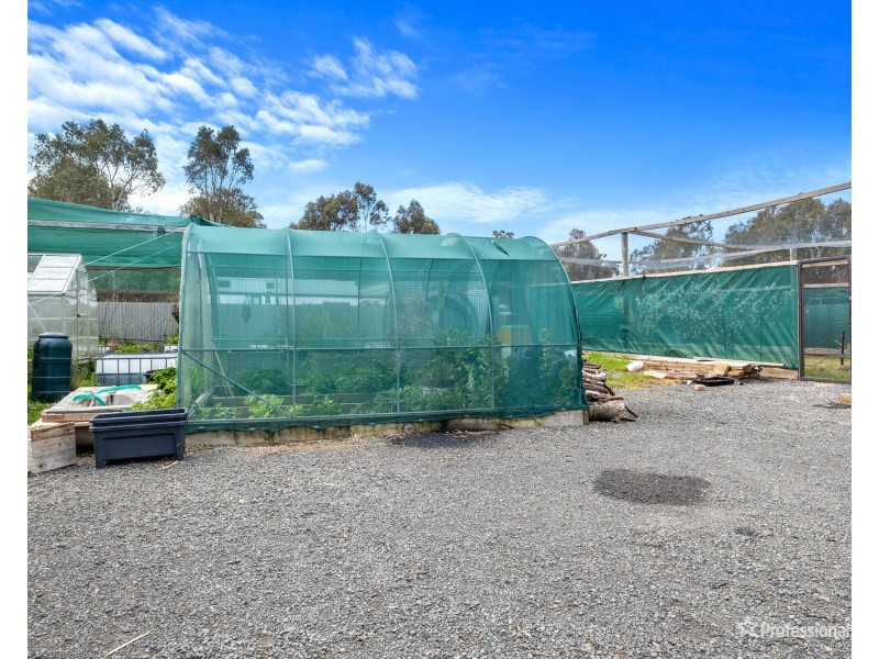 8 Rutherford Street, Avoca VIC 3467