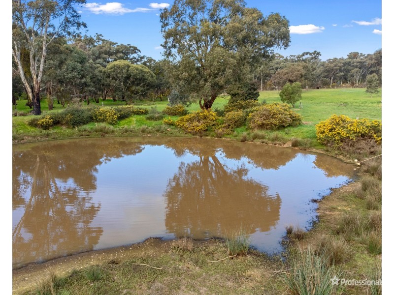 195 Mosquito Road, Maryborough VIC 3465