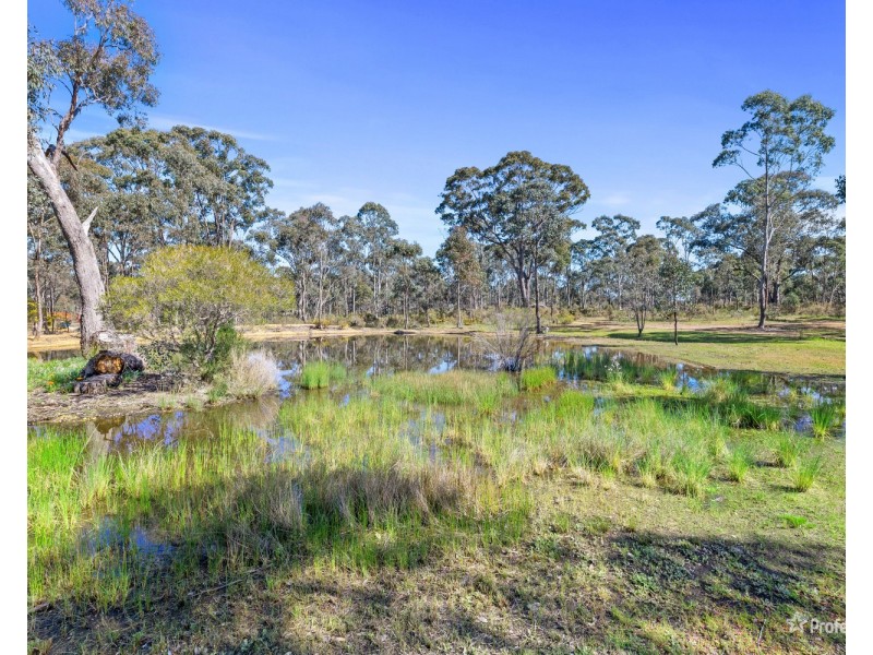 38 Nicholls Road, Daisy Hill VIC 3465