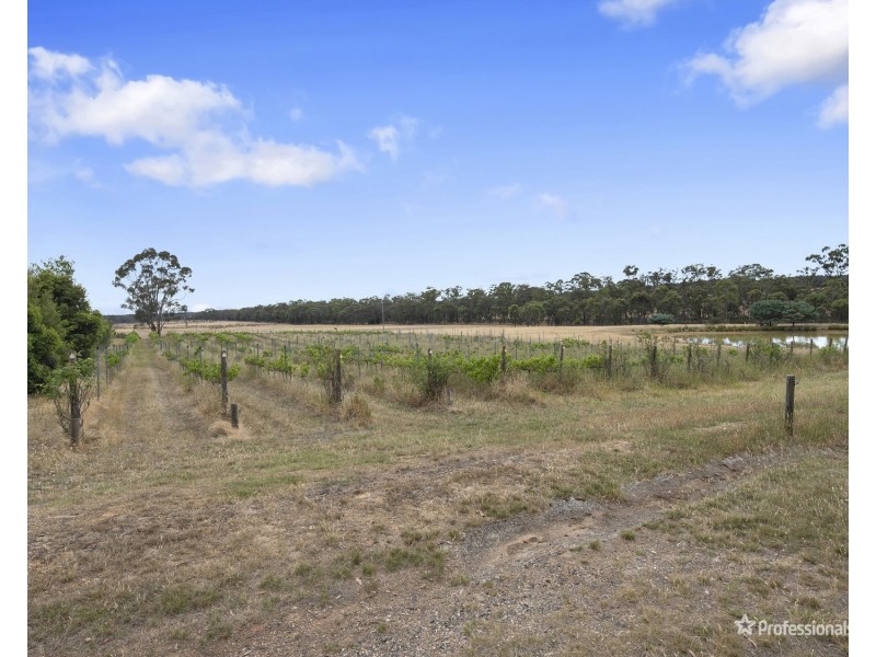 280 Lillicur Road, Amherst VIC 3371