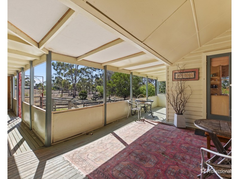 42 York Avenue, Avoca VIC 3467