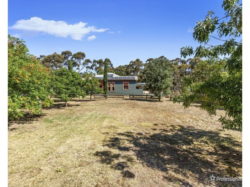 42 York Avenue, Avoca VIC 3467