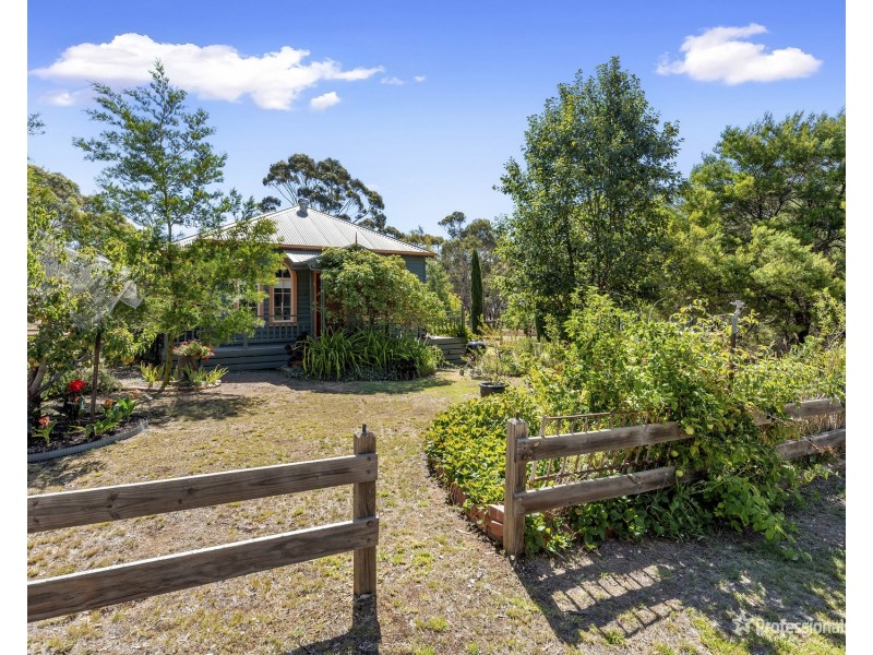 42 York Avenue, Avoca VIC 3467