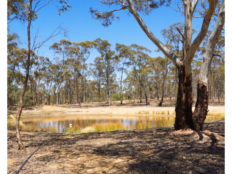 65 Denyers Road, Bowenvale VIC 3465