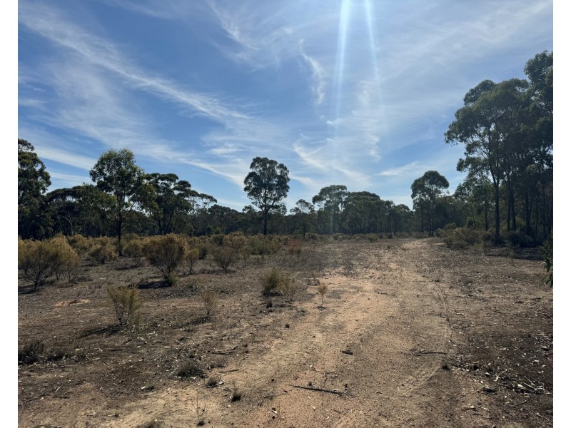 20 Mullins Road, Talbot VIC 3371