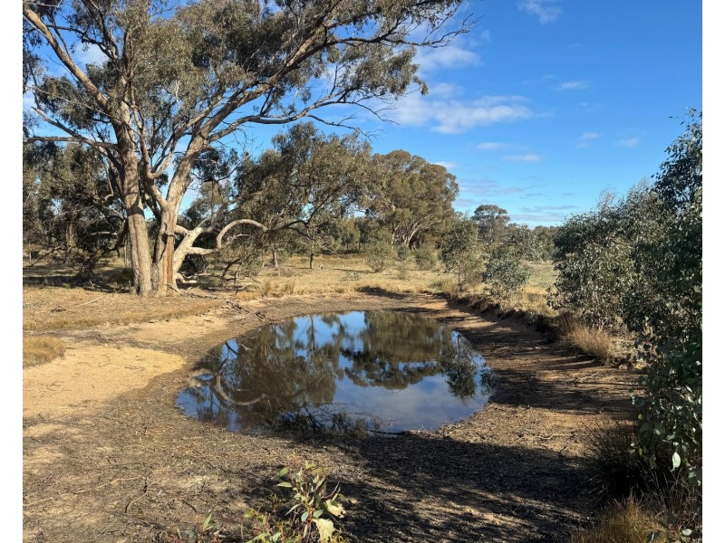 Lot 29, 167 Logan Road, Alma VIC 3465