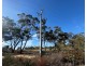 Lot 29, 167 Logan Road, Alma VIC 3465