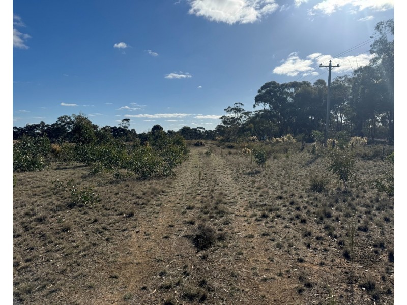 Lot 29, 167 Logan Road, Alma VIC 3465