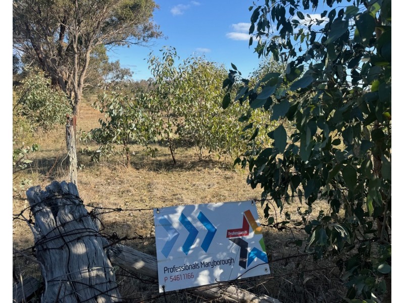 Lot 29, 167 Logan Road, Alma VIC 3465