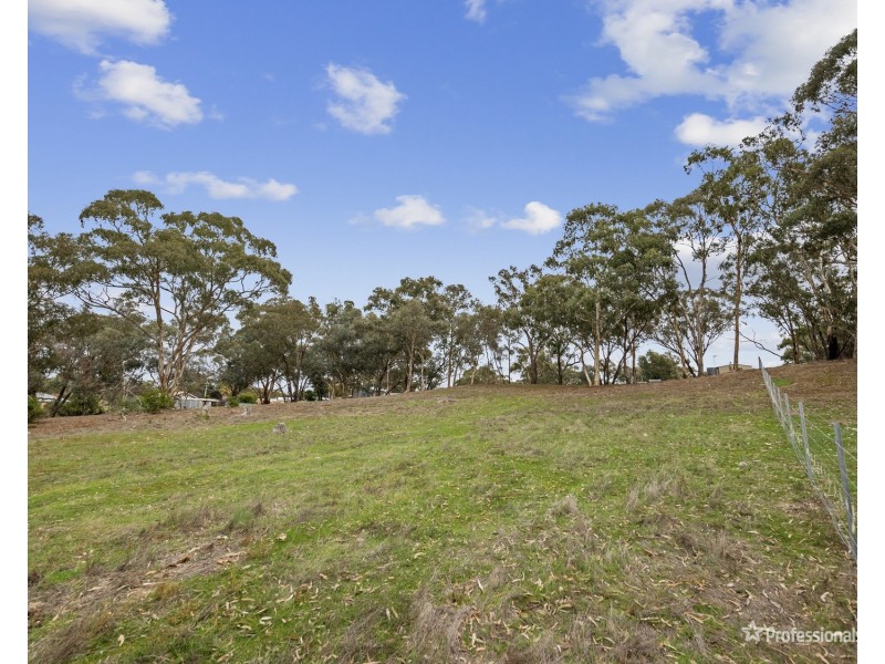 Lot Lot 1, 26 Chaplins Road, Carisbrook VIC 3464