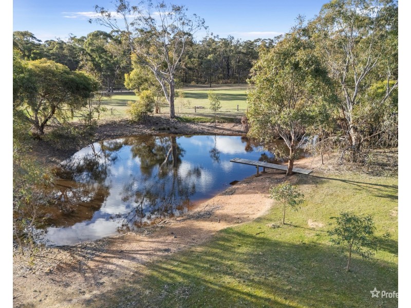 50 Tipperary Lane, Alma VIC 3465