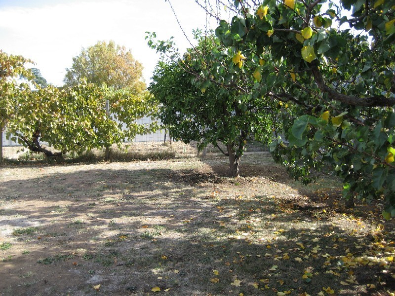 39 Dundas Road, Maryborough VIC 3465