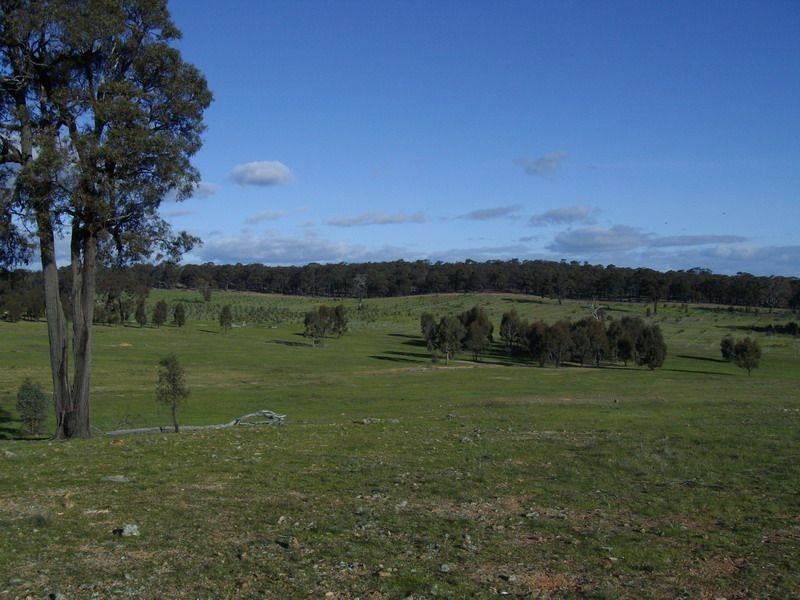 5293 Wimmera Highway, Cochranes Creek VIC 3475