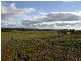 5293 Wimmera Highway, Cochranes Creek VIC 3475