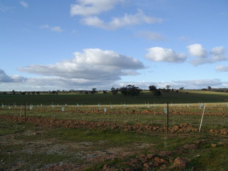 5293 Wimmera Highway, Cochranes Creek VIC 3475