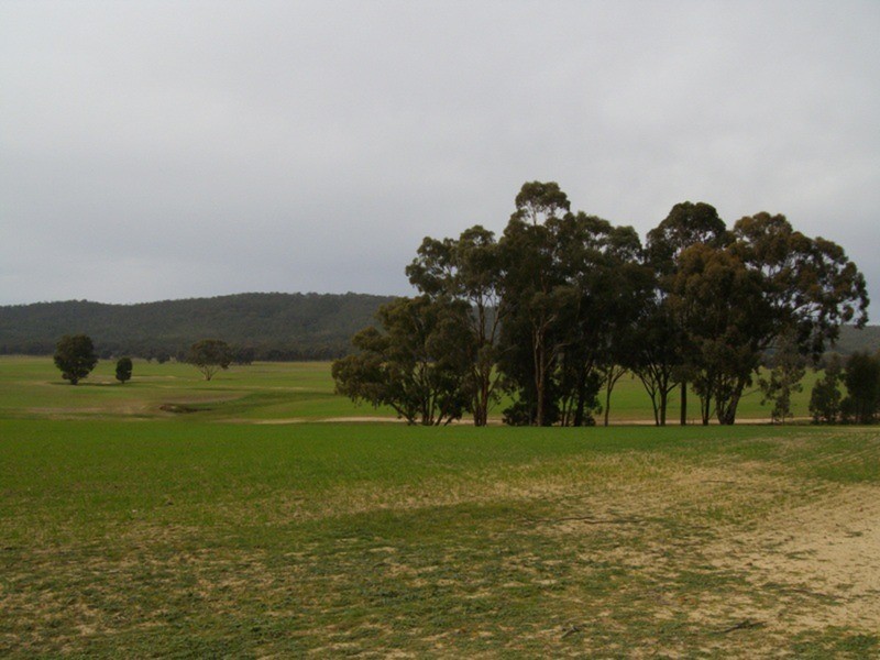 885 Scent Farm Road, Dunolly VIC 3472