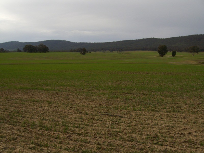 885 Scent Farm Road, Dunolly VIC 3472