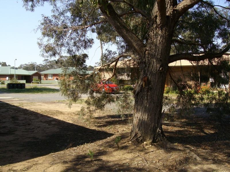 2/6 Harkness Street, Maryborough VIC 3465