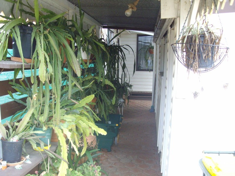 4 Pascoe Avenue, Maryborough VIC 3465