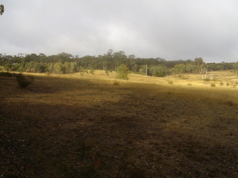 Allot 37 Talbot/waubra Road, Evansford VIC 3371