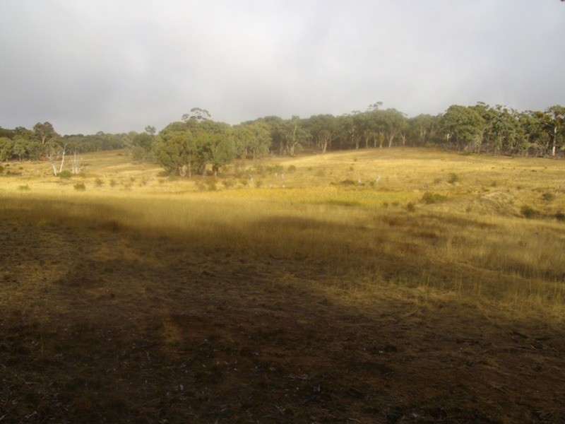 Allot 37 Talbot/waubra Road, Evansford VIC 3371