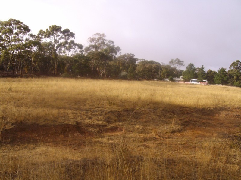 Allot 37 Talbot/waubra Road, Evansford VIC 3371