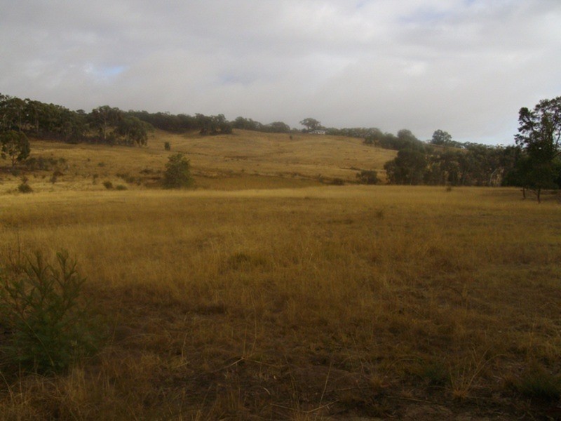 Allot 37 Talbot/waubra Road, Evansford VIC 3371