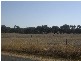 3 Kays Road, Craigie VIC 3465