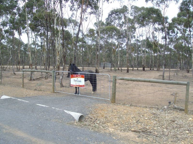 28 Phelans Road, Maryborough VIC 3465