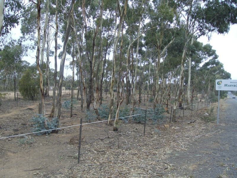 28 Phelans Road, Maryborough VIC 3465