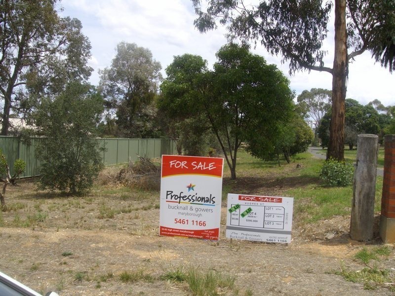 House Blocks  Dundas Road, Maryborough VIC 3465