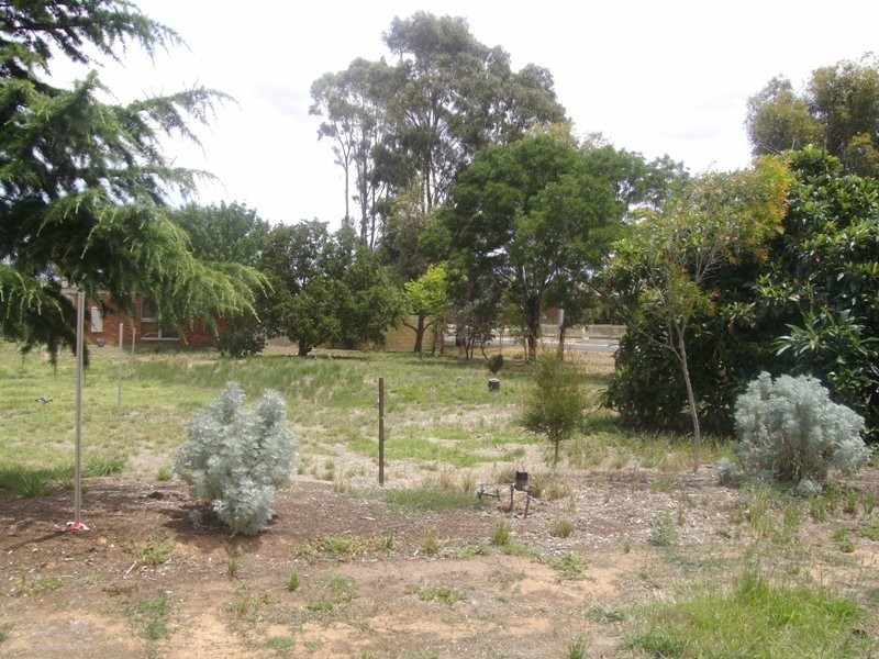 House Blocks  Dundas Road, Maryborough VIC 3465
