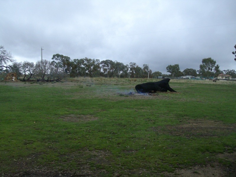 1 Lacey Street, Amherst VIC 3371