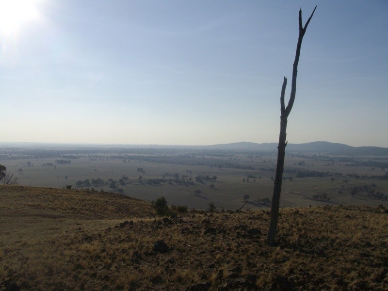 881 Dunolly Avoca Road, Maryborough VIC 3465