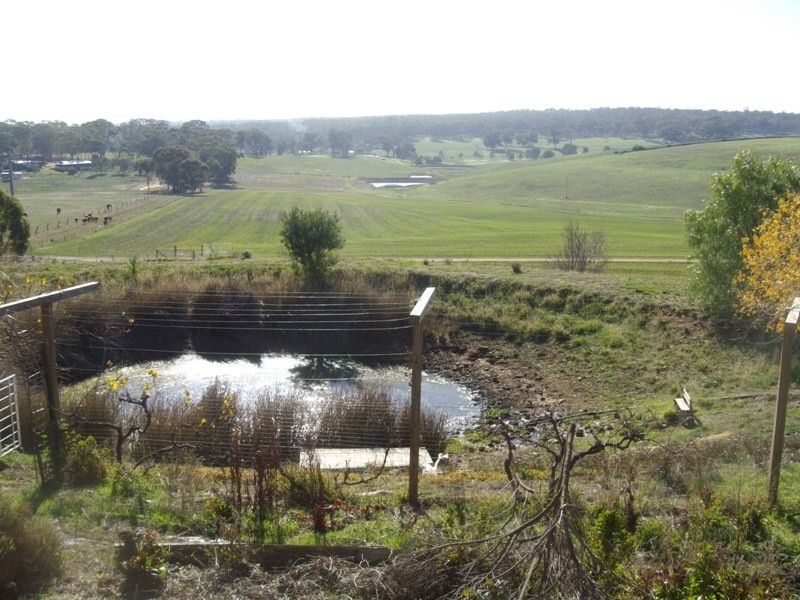 110 Hoopers Road, Maryborough VIC 3465