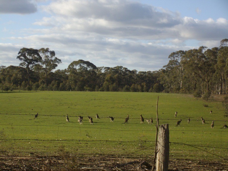 3 Pidgeon Gully Road, Maryborough VIC 3465
