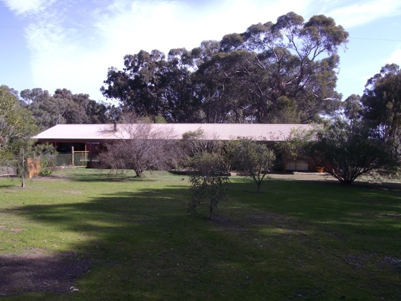 164 Alma Moonlight Road, Alma VIC 3465